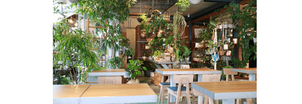 うちの事務所も